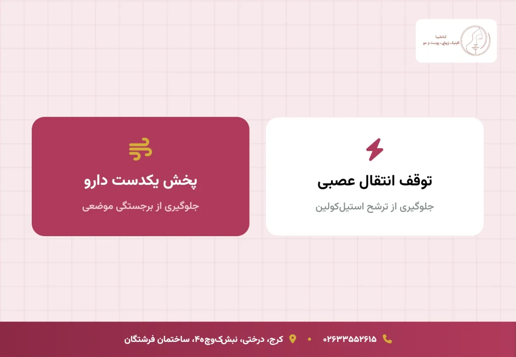 مکانیسم اثرگذاری دیسپورت